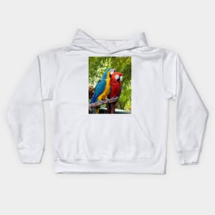 Love Birds Pair of Macaws Cuddling Kids Hoodie